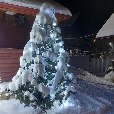 Guest house 