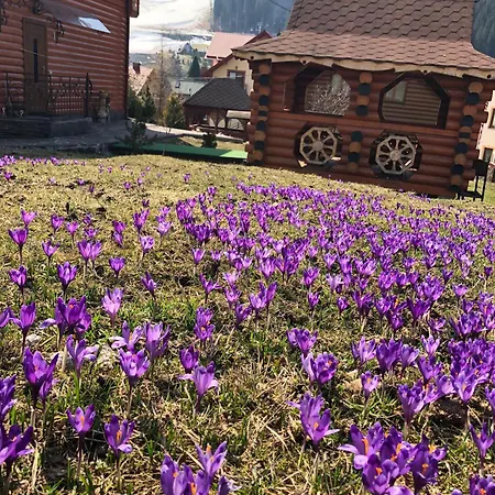 U Halyny Sunrise Guest house Bukovel