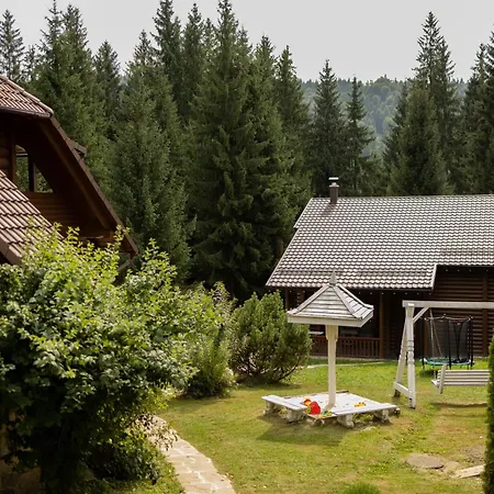 маєток ліс і гори Chalet