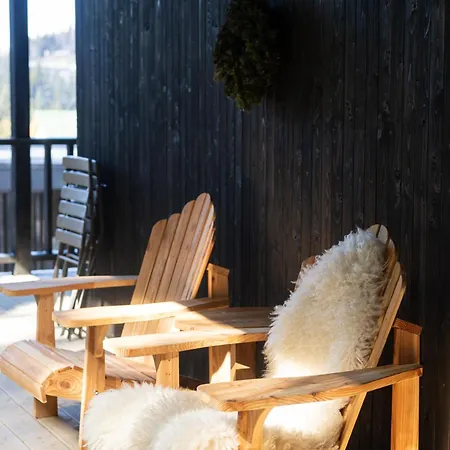 Holiday home Moho будинки для відпочинку Bukovel