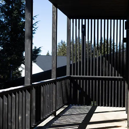 Holiday home Moho будинки для відпочинку Bukovel