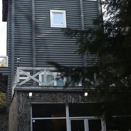 маєток ліс і гори Bukovel