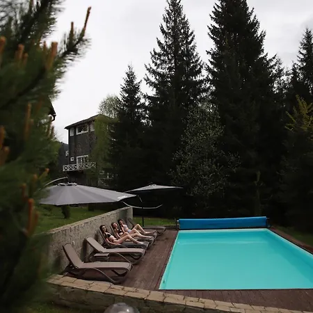 Chalet маєток ліс і гори