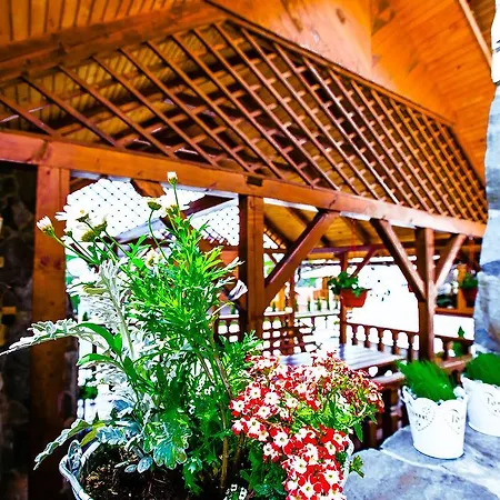 Hotel Plus