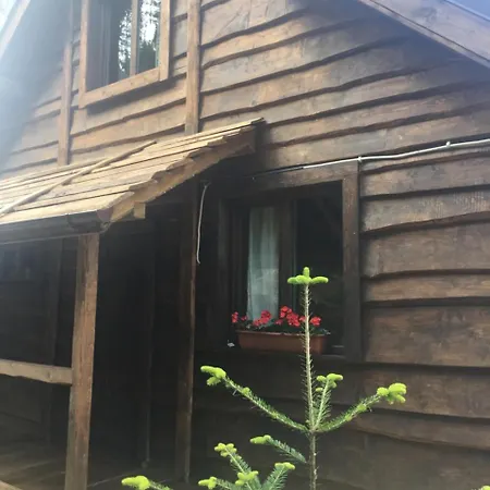 Shepit Karpat * Bukovel