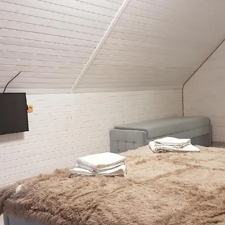 Перлина Карпатських Гір Guest house *