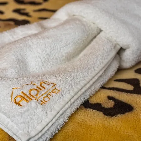 Hotel Alpin