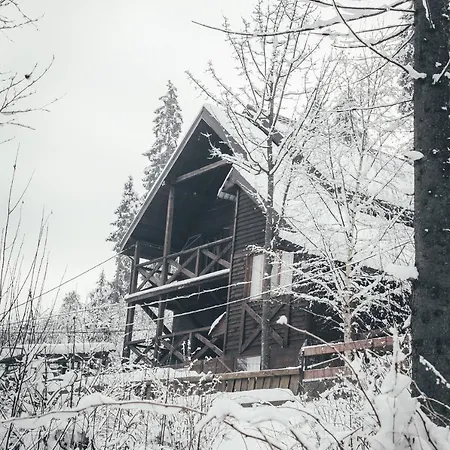 Chalet Shepit Karpat *