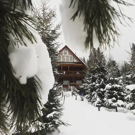 Guest house ранчо в карпатах *