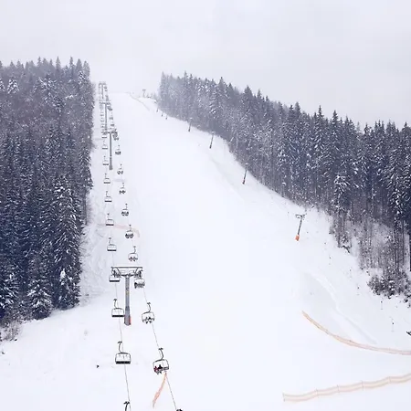 Ganz & 4* Bukovel