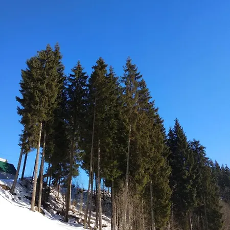 Iron Bridge Bukovel
