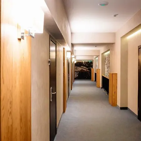 Hotel Iron Bridge Bukovel