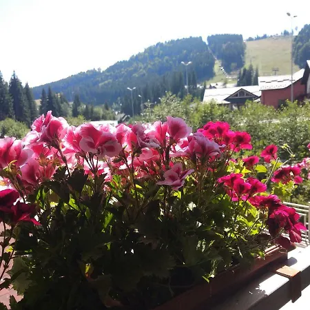 Iron Bridge Hotel Bukovel
