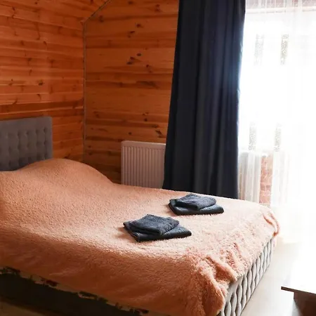 Перлина Карпатських Гір Guest house