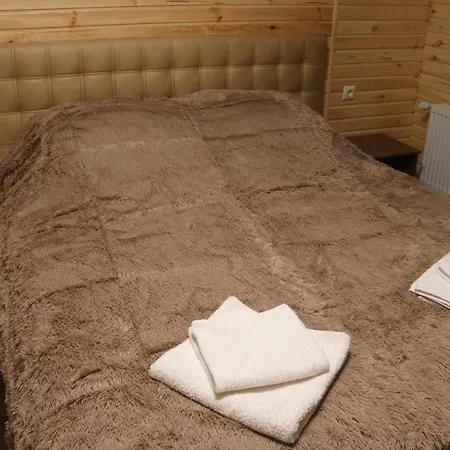 Перлина Карпатських Гір Guest house