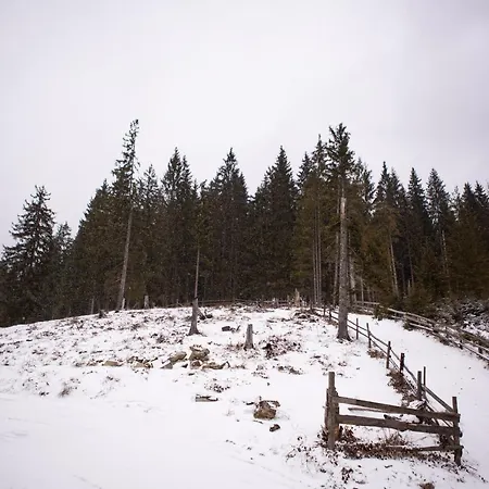 “друзі” Lodge Bukovel