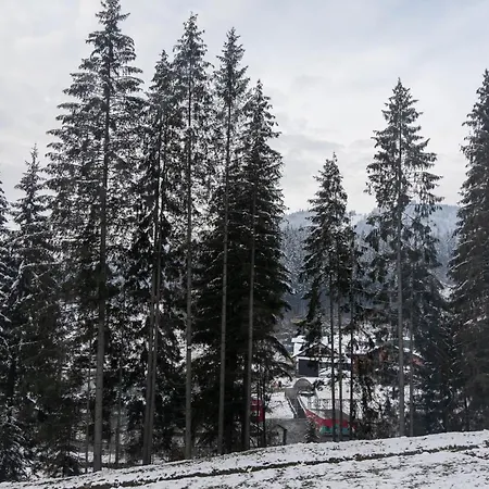 Hotel Hvoya & 3*