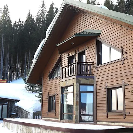 Shale Anemona * Bukovel