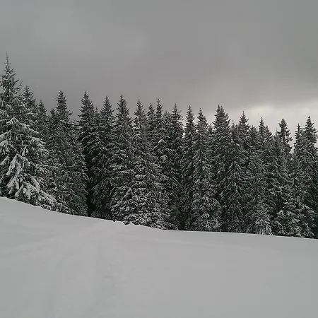 буковеньки гостинний дім та Bukovel